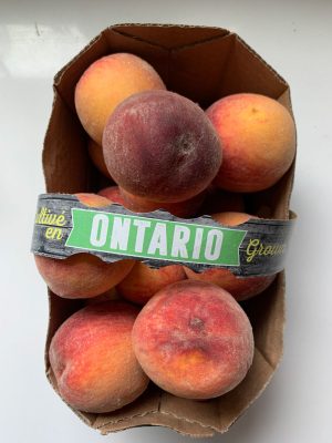 Ontario Peaches