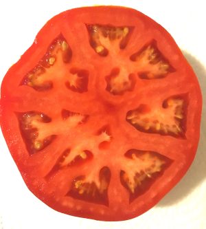 sun ripened tomato