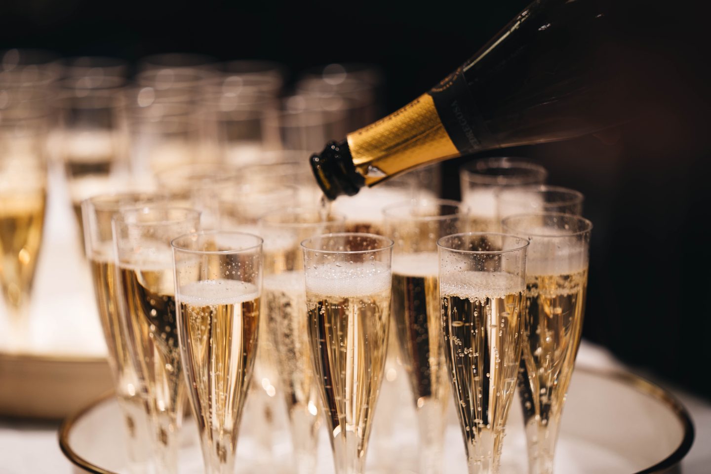 A high-low roundup of sparkling wines, from Champagne to Cava.